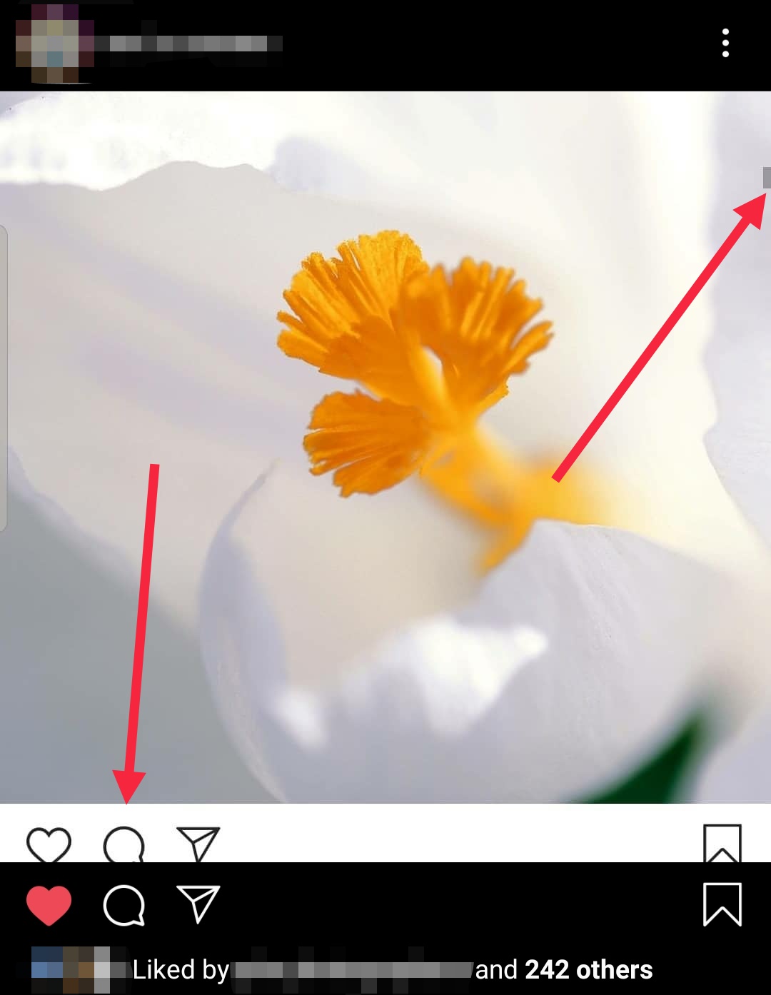 How to download any Instagram photo in full quality – Quicktorial