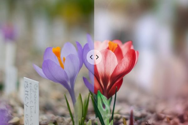 10 Inspirational Before and After Editing Photos From My Instagram #8