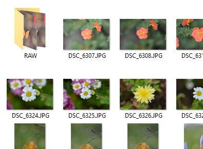 Separate folder for my RAW files