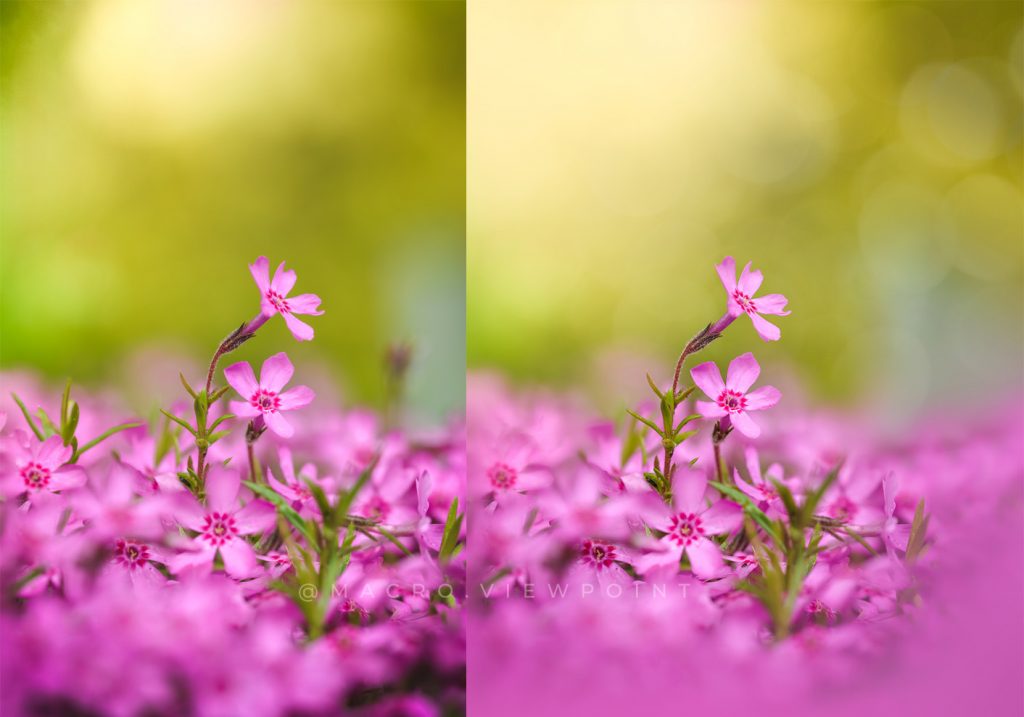 Comparison between the difference bokeh overlays add to a photo