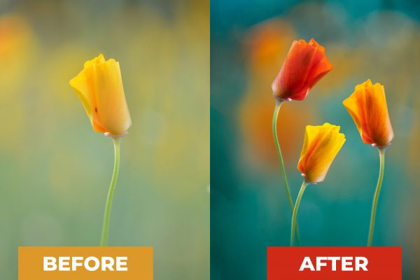 Before & After Photoshop: How I did the edit step by step