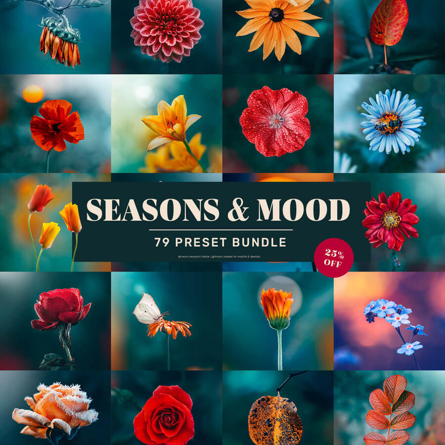 Lightroom 79 preset bundle
