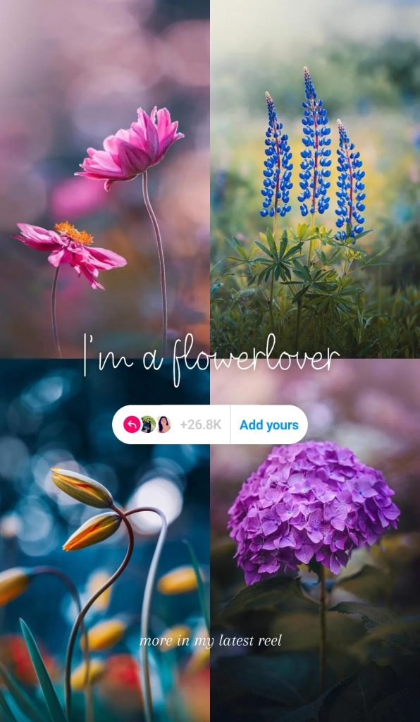Instagram story template using custom fonts