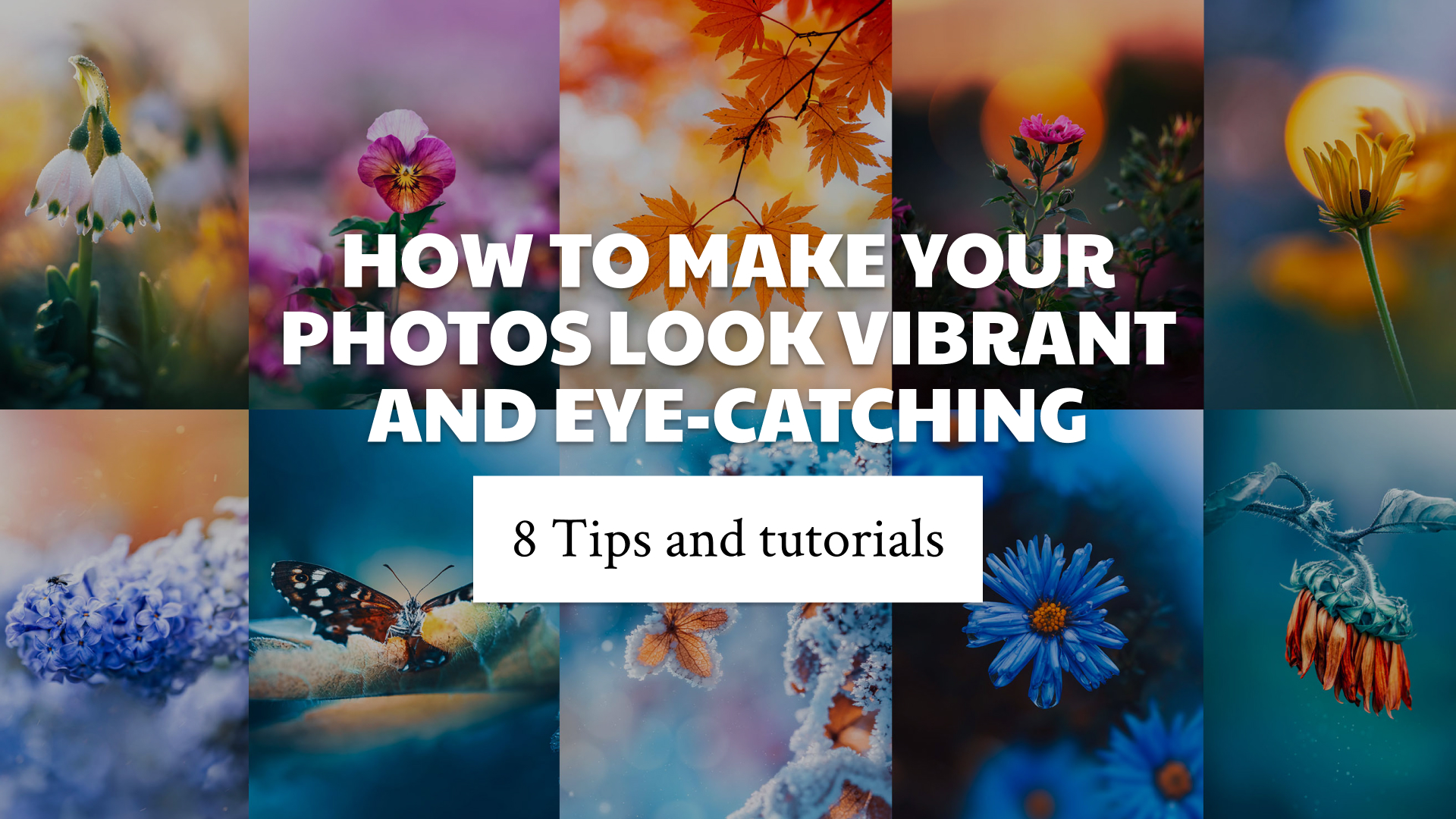 How To Make Your Photos Look Vibrant and Eye-Catching: 8 Tips