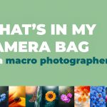 What’s in My Bag as a Macro Photographer