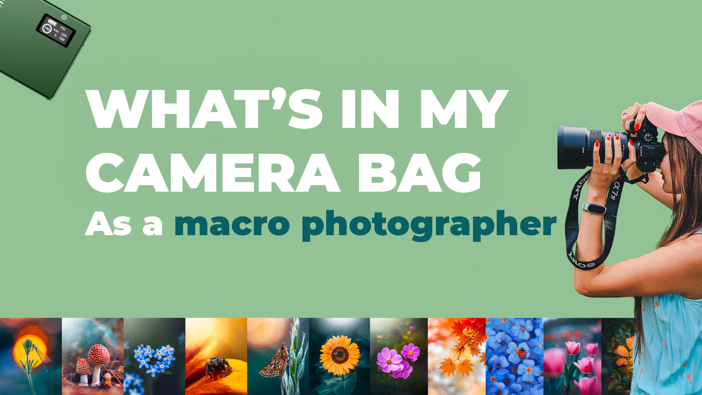 What’s in My Bag as a Macro Photographer